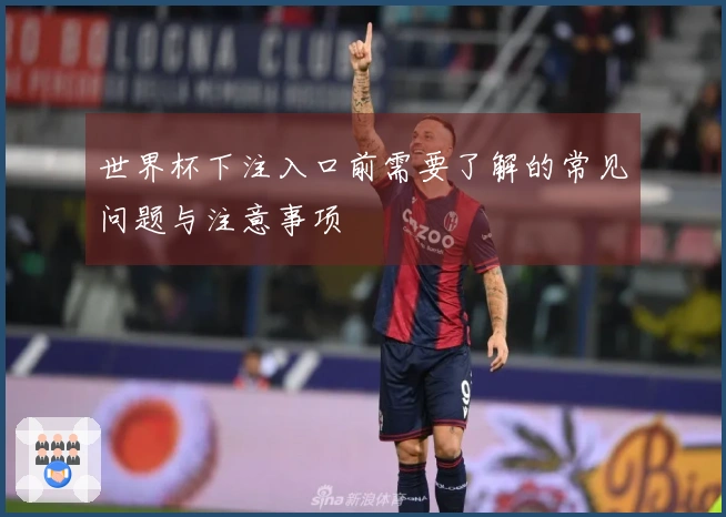 世界杯下注入口前需要了解的常见问题与注意事项