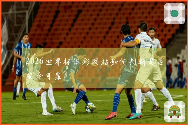 2026世界杯体彩网站如何判断是否安全可靠？