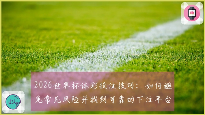 2026世界杯体彩投注技巧：如何避免常见风险并找到可靠的下注平台