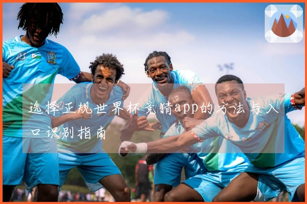 选择正规世界杯竞猜app的方法与入口识别指南